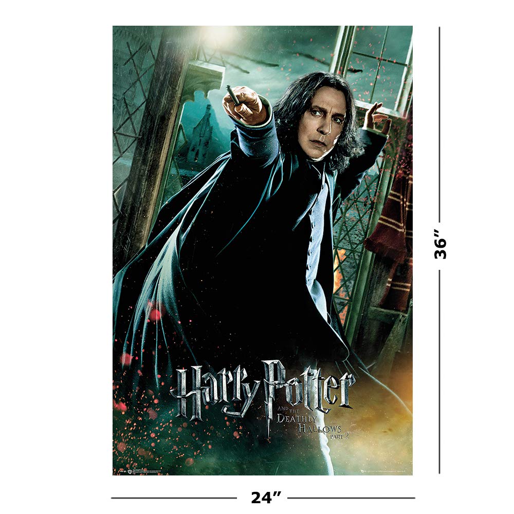 Amazon.co.jp: ハリー・ポッターと死の秘宝 – 映画ポスター/印刷(教授